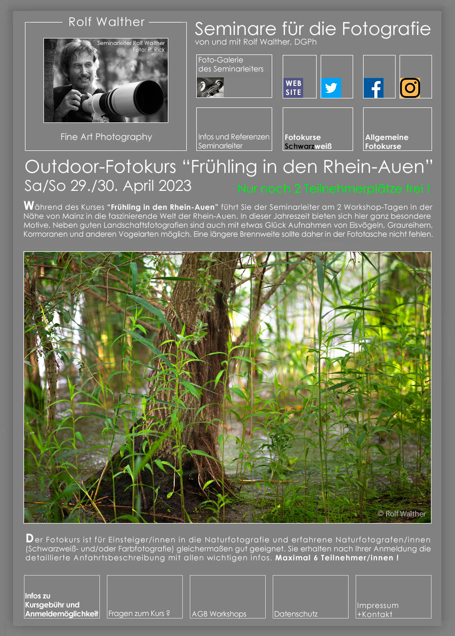 Fotokurs Naturfotografie in den Rhein-Auen